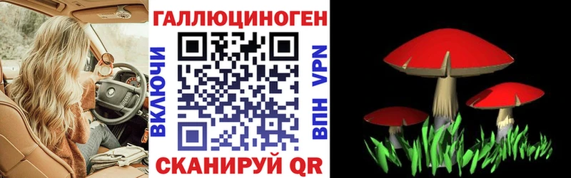 Галлюциногенные грибы GOLDEN TEACHER  Киреевск 