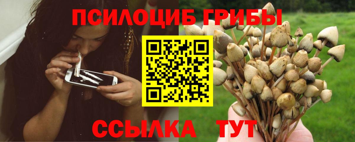 Псилоцибиновые грибы GOLDEN TEACHER Киреевск