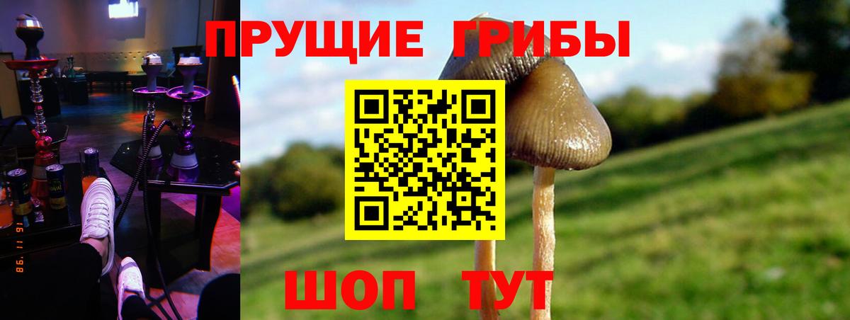 Киреевск  Псилоцибиновые грибы Psilocybine cubensis  Псилоцибиновые грибы мухоморы  Вход с VPN 